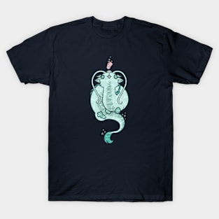 Dragon And The Little Pink Shoe T-Shirt